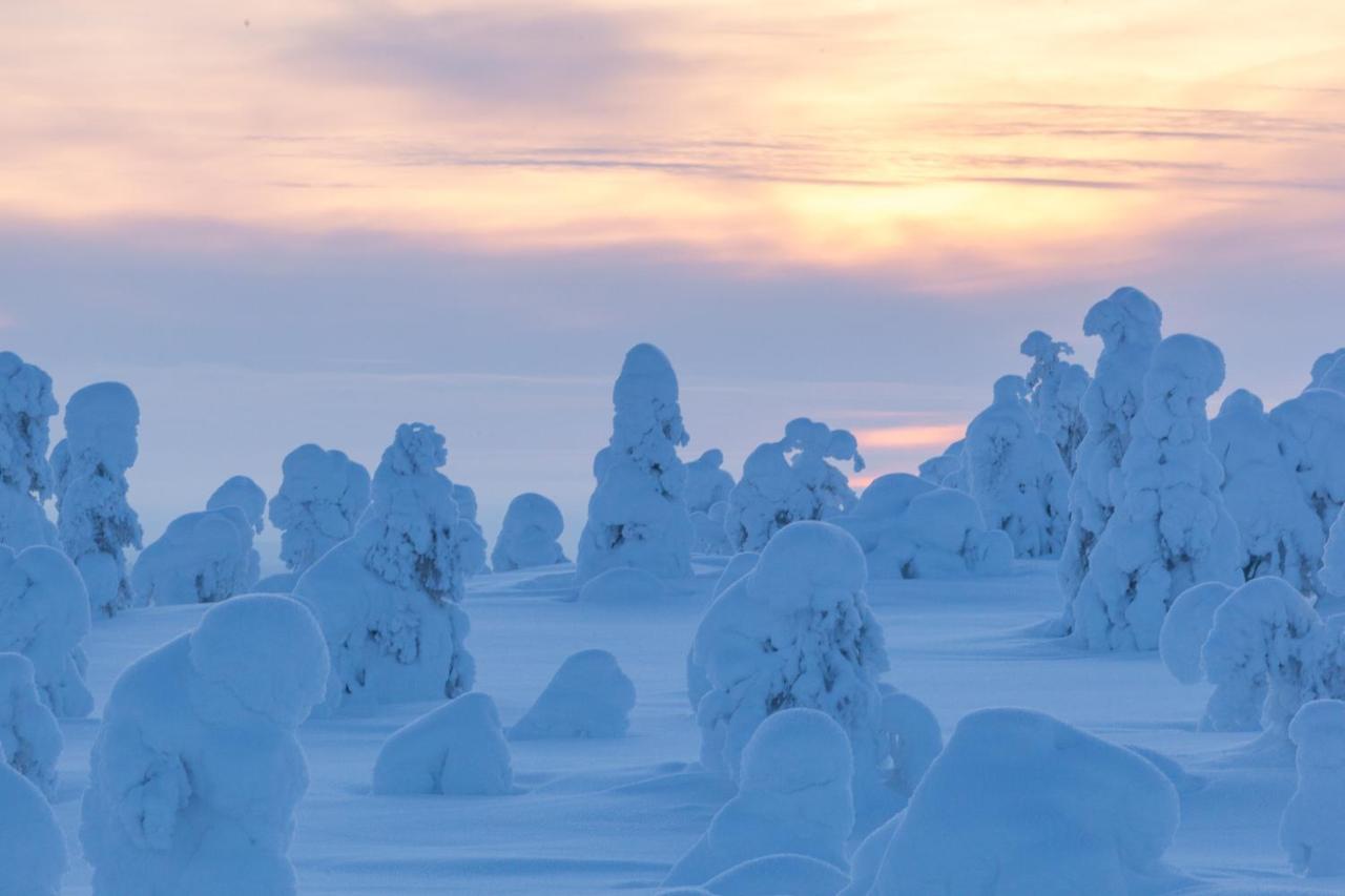 Basecamp Oulanka Vakantiehuis